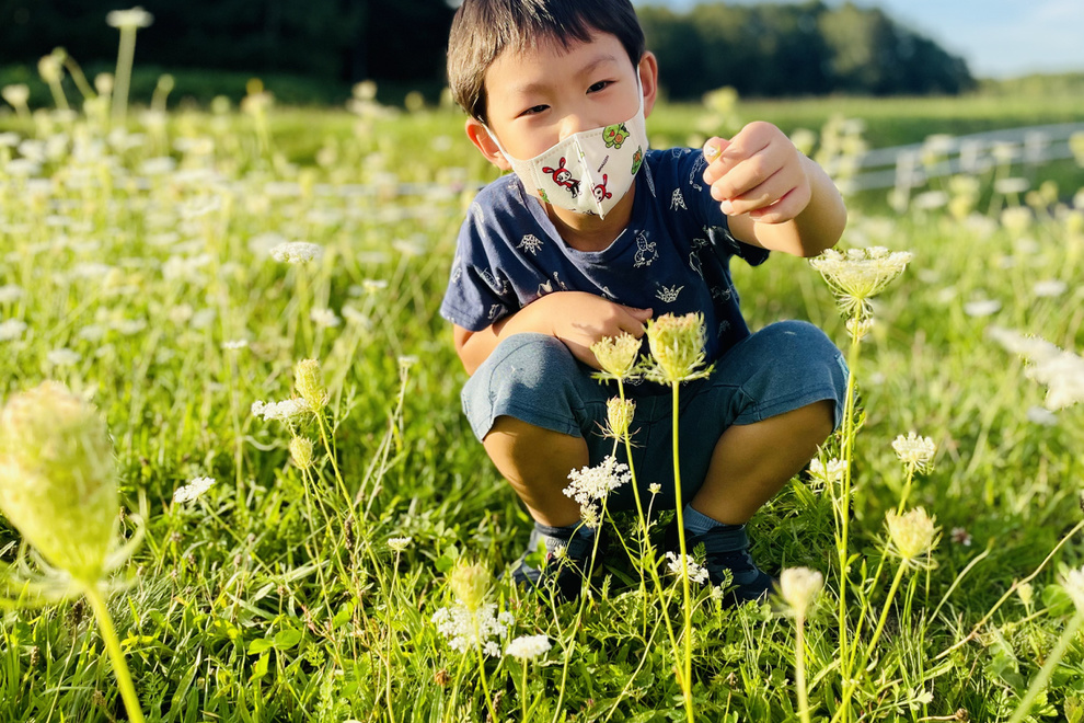 男の子がお花をみている写真